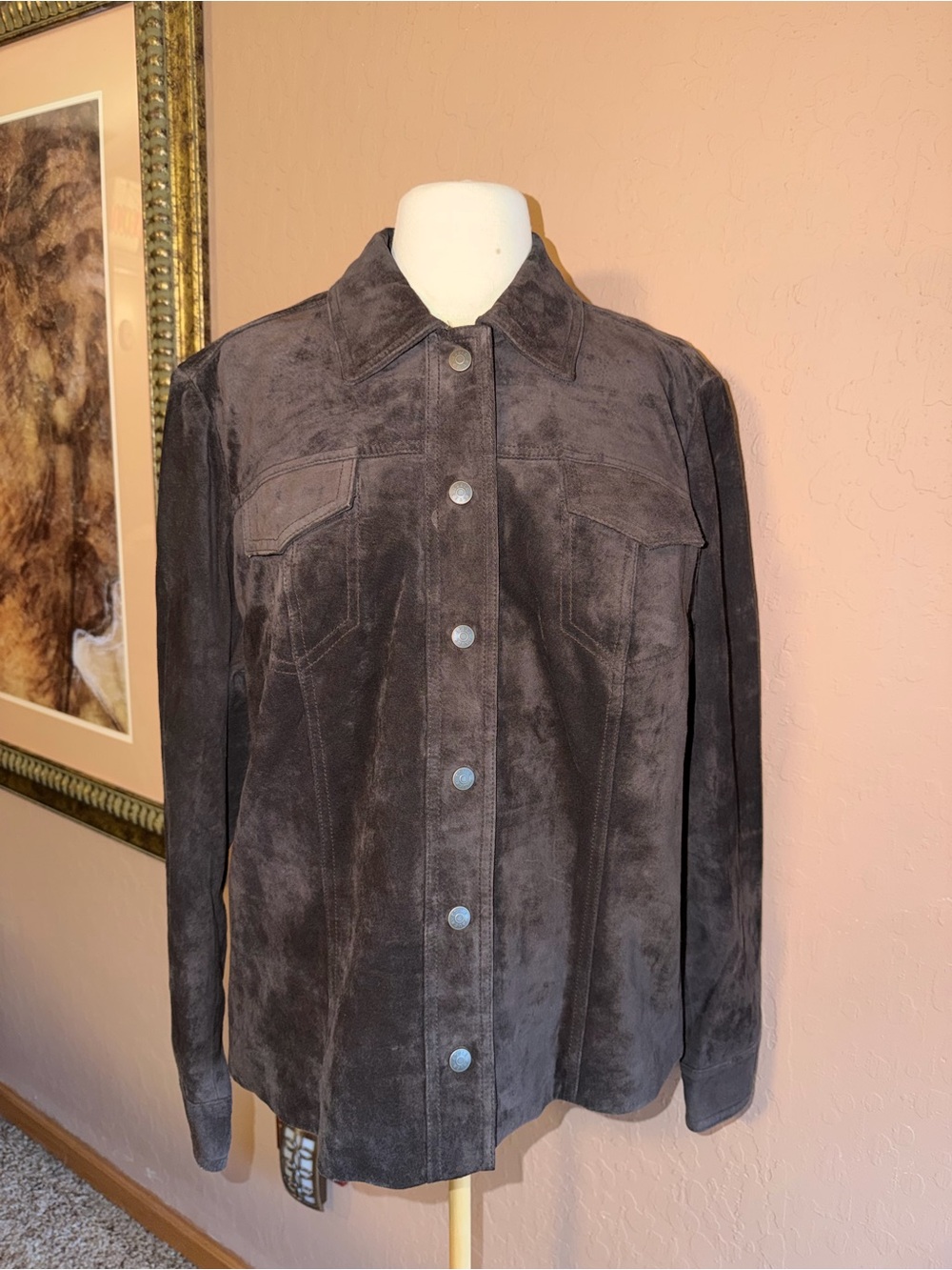 NWT Eddie Bauer Dark Brown Leather Lined Button-Front Jacket Size XL